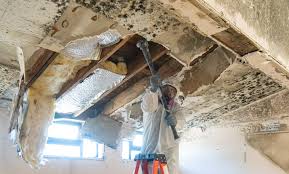 Best Mold Remediation for Healthcare Facilities  in Greenfield, CA